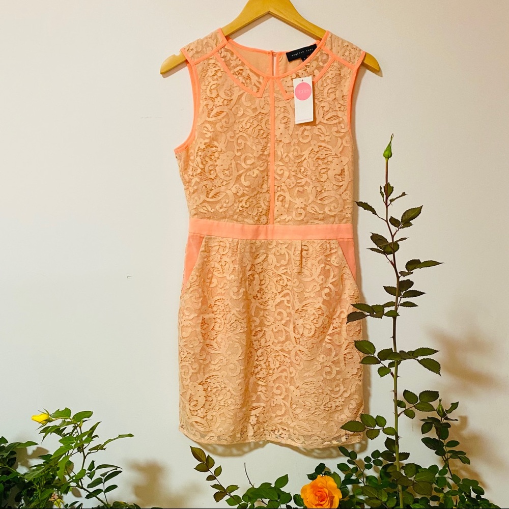 LACE DRESS WITH MOCK COLLAR
